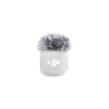 DJI Mic Mini 2
