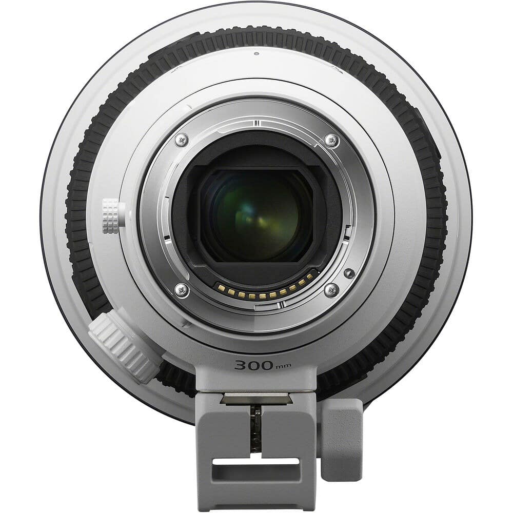 Sony FE 300mm f2.8 GM OSS - Ảnh 6