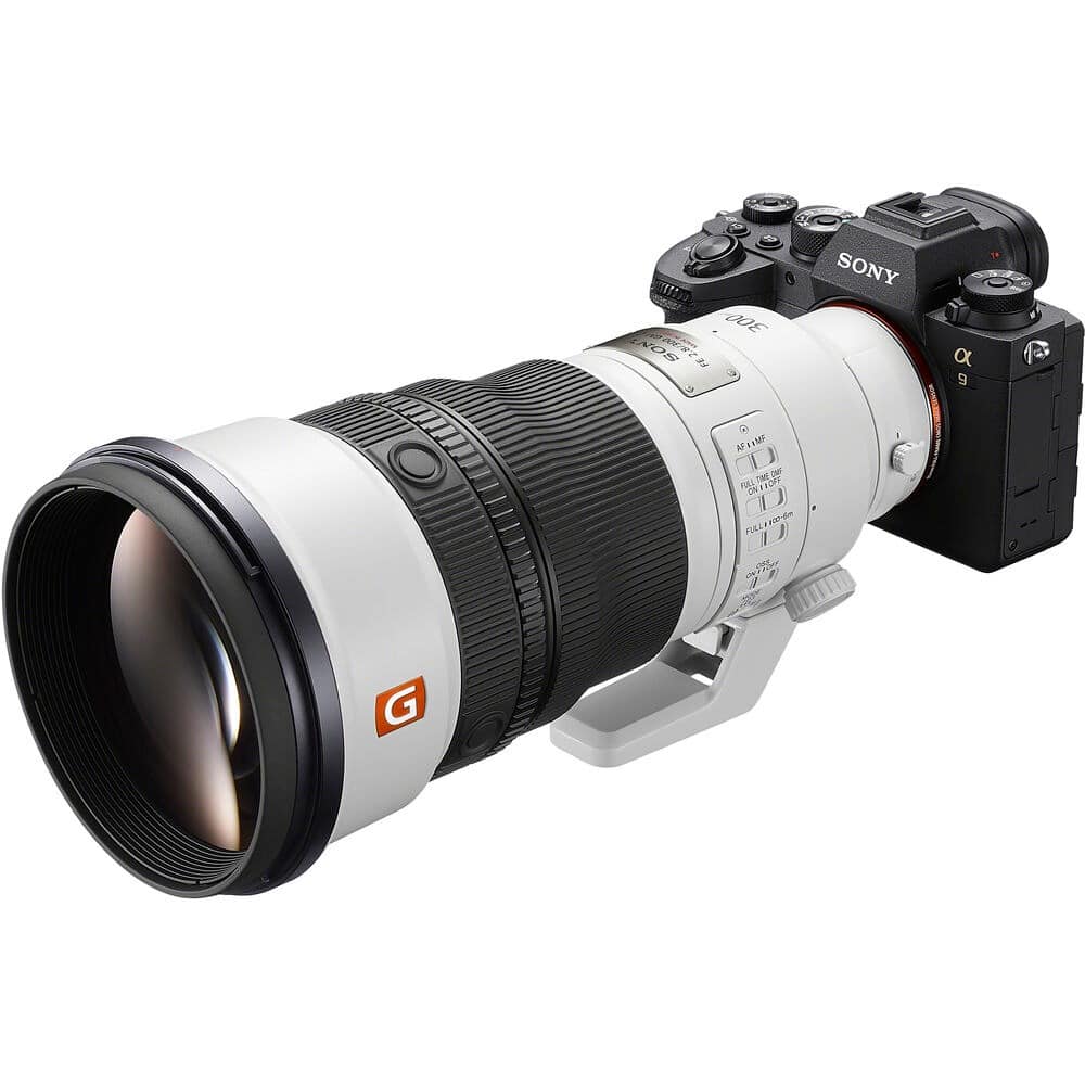 Sony FE 300mm f2.8 GM OSS - Ảnh 8