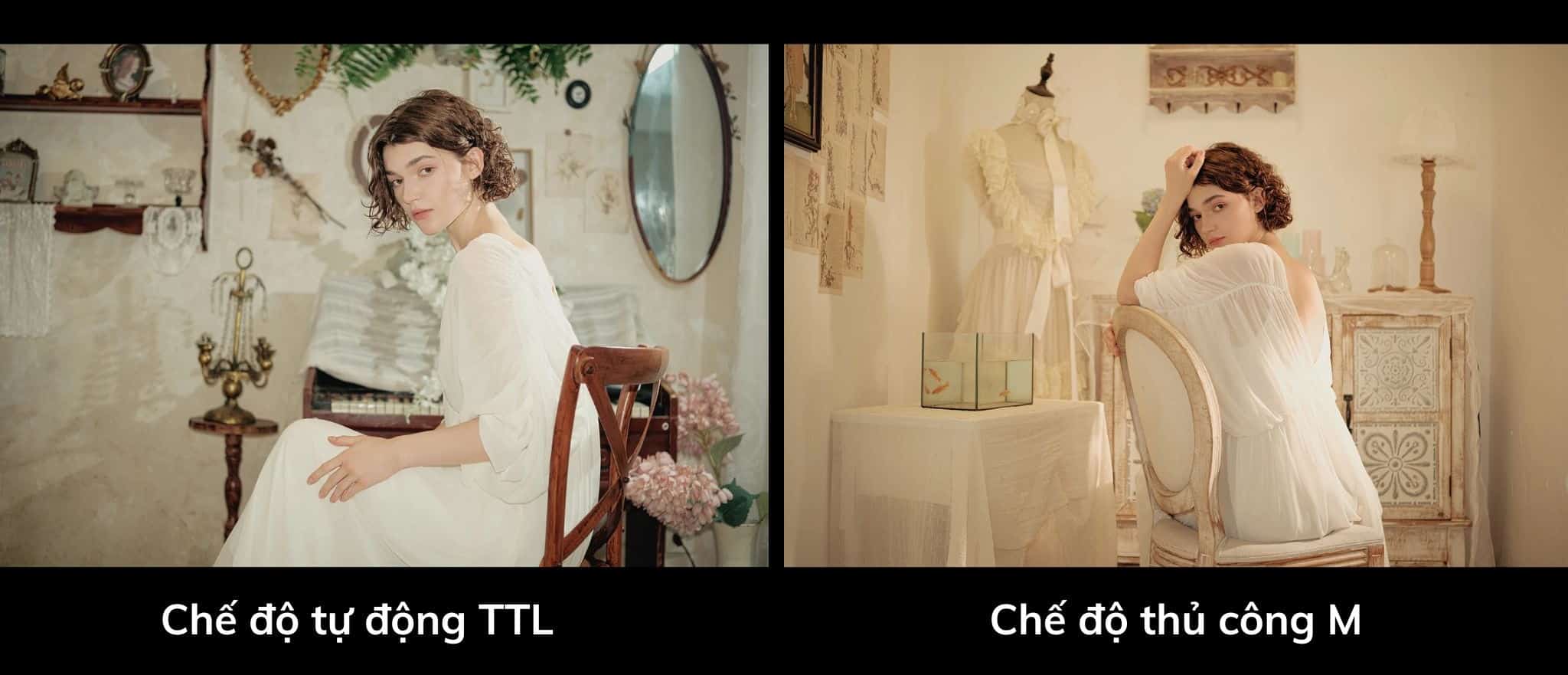 Vintage Z1 Pro hỗ trợ đầy đủ cả TTL Auto Mode lẫn Manual Mode nhằm đáp ứng nhiều nhu cầu sử dụng khác nhau từ người mới bắt đầu cho tới photographer chuyên nghiệp