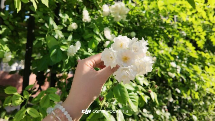 Đánh giá DJI Osmo Pocket 4