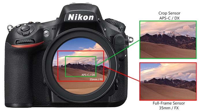 Crop Factor, hay hệ số crop, là tỷ lệ dùng để so sánh kích thước cảm biến của một máy ảnh với chuẩn Full Frame 35mm.