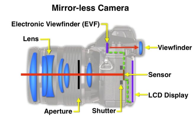 Điểm khác biệt lớn với DSLR nằm ở việc Mirrorless không cần sử dụng gương để đưa hình ảnh lên kính ngắm quang học.