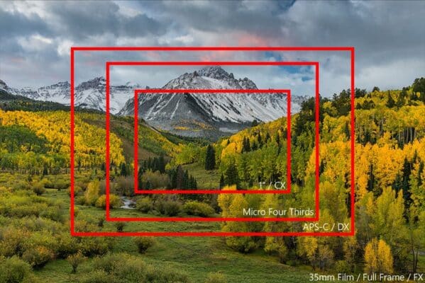 Crop Factor không làm chủ thể trông lớn hơn