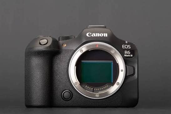 Canon EOS R6 nên đi với RF 45mm hay RF 85mm?