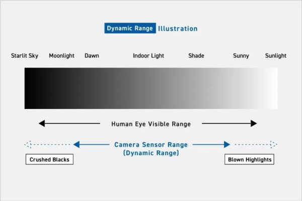 Dynamic Range, hay dải tương phản động, là khoảng chênh lệch giữa vùng tối nhất mà máy ảnh vẫn còn ghi được chi tiết và vùng sáng nhất chưa bị cháy hoàn toàn.