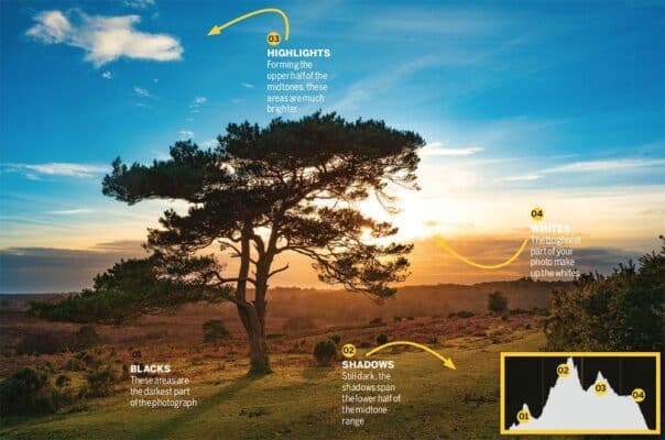 Cách sử dụng Histogram khi chụp ảnh thực tế