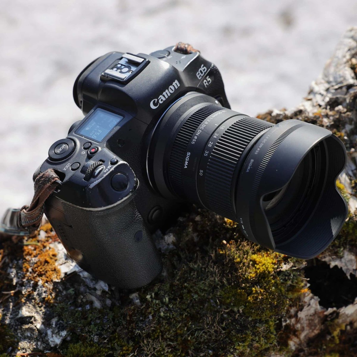 Ống kính Sigma 18-50mm F2.8 DC DN Contemporary ngàm Canon RF gắn trên máy Canon
